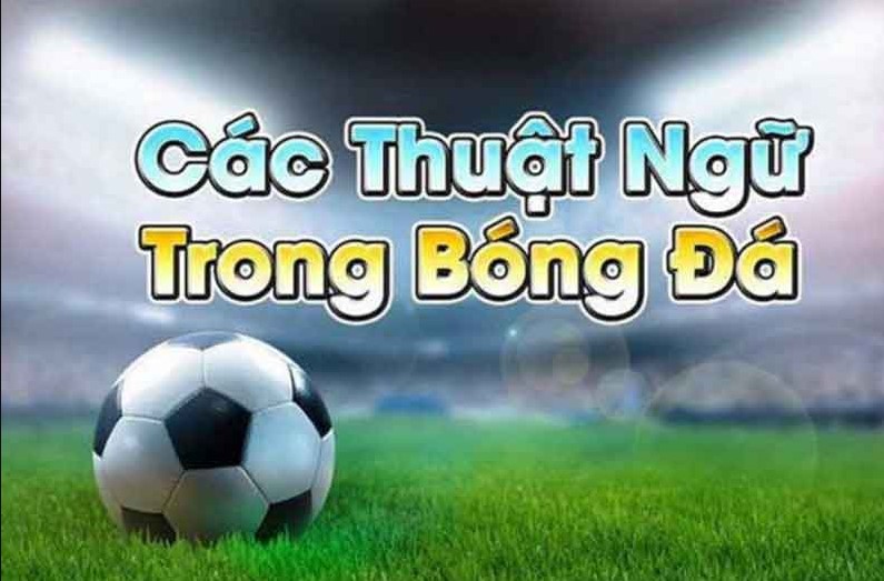 Thuật ngữ cá độ bóng đá thông dụng và dễ hiểu nhất