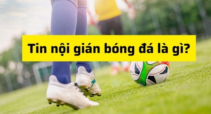 Tip nội gián những loại kèo nhà cái nên tránh xa